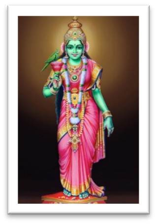 Sri Meenakshi 5