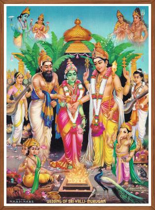 Sri Valli Thirukalyanam